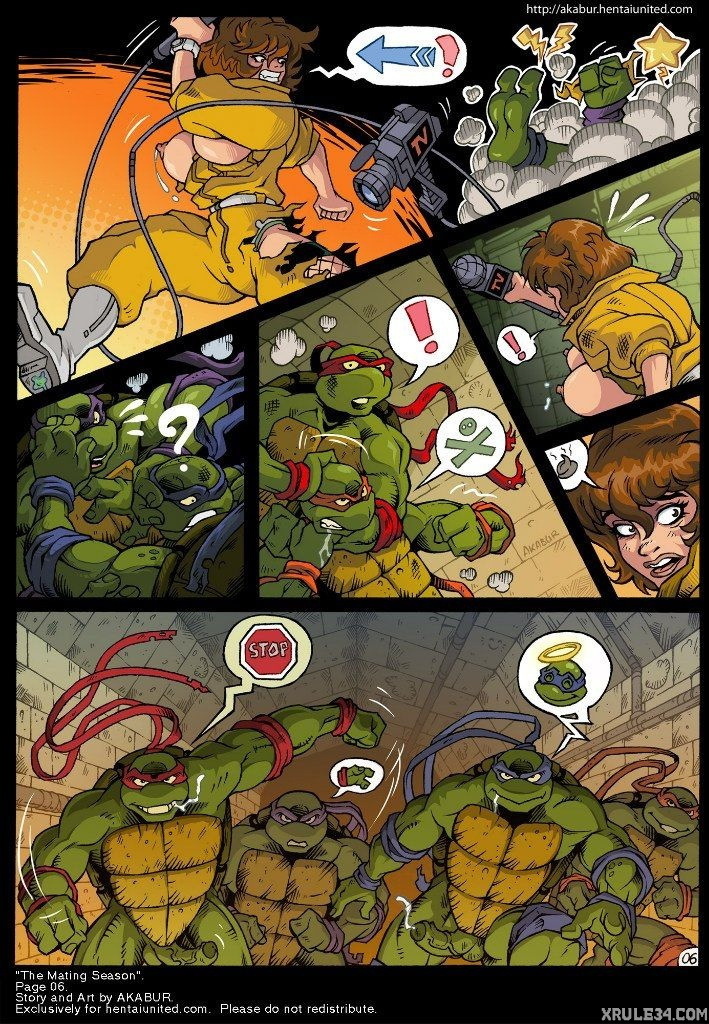 Turtles - Page 7